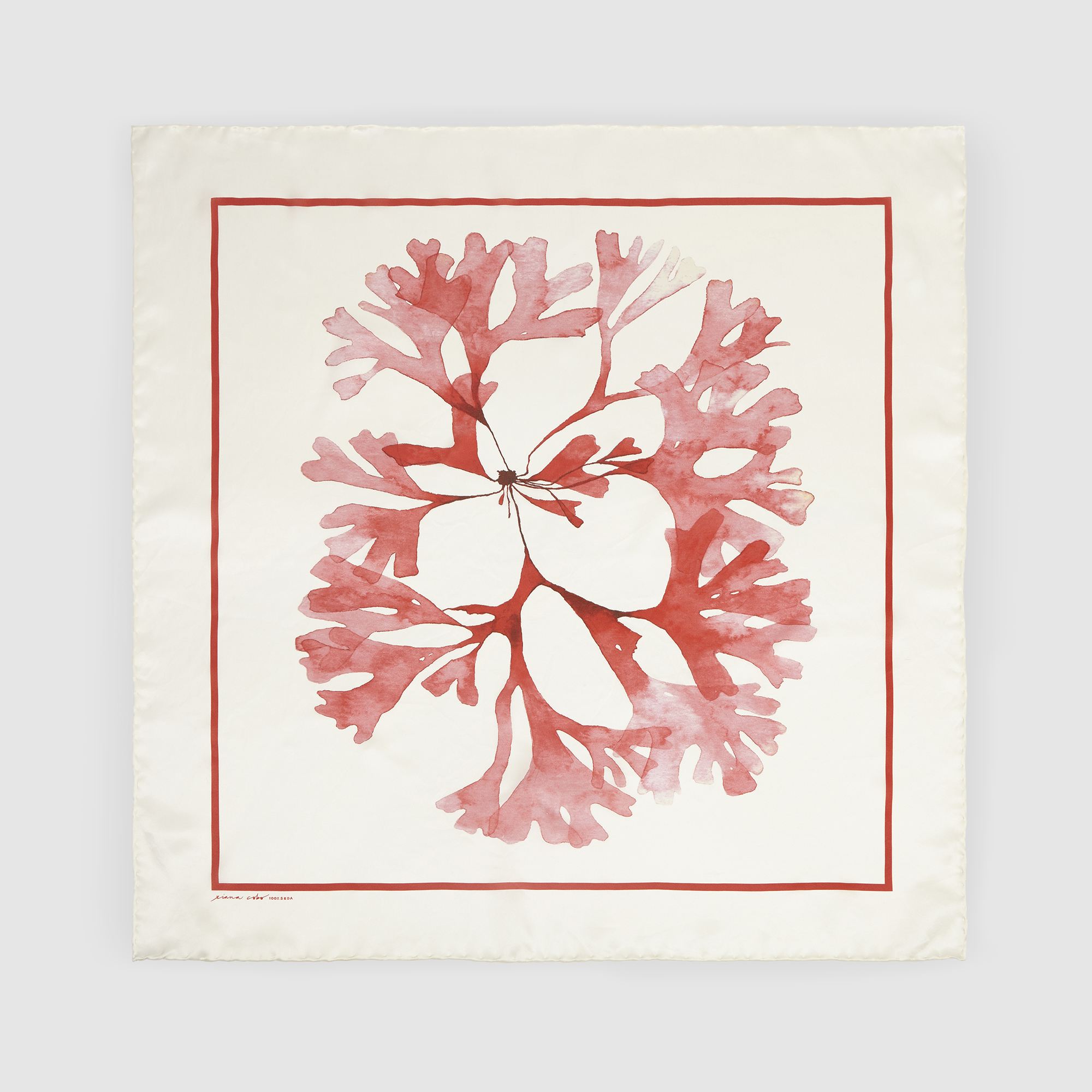 Pañuelo Alga Roja - Imagen 8