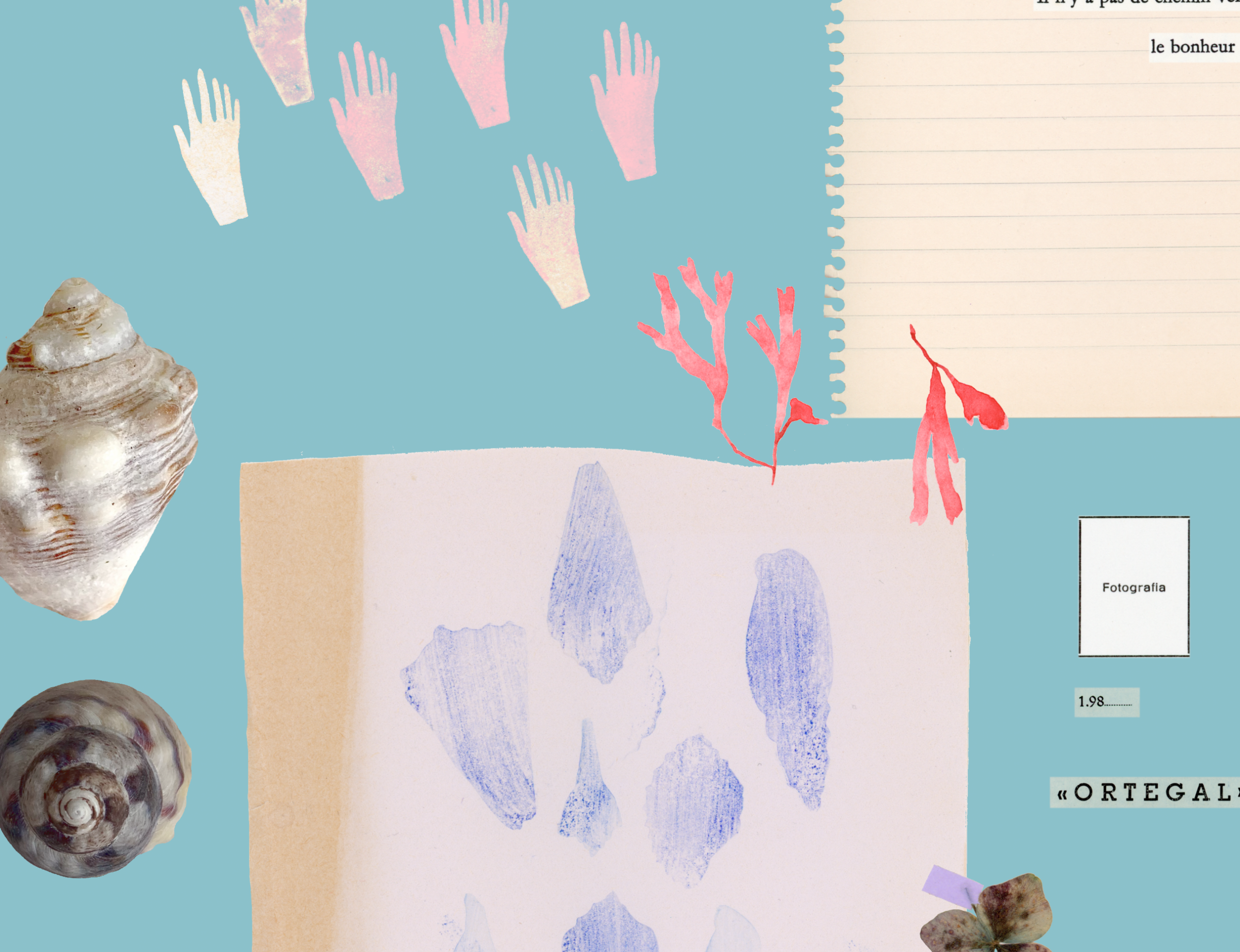 Casa Zoilo - Imagen 3